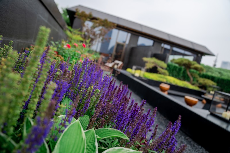 秀儿府品牌环境